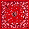 Paisley Red, Bandanna