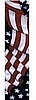 Wavy Amreican Flag, Cooldanna
